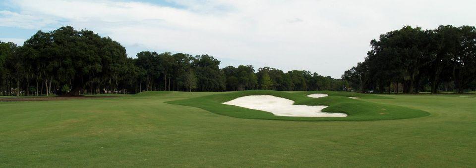 Bacon Park Golf Course - photo 4