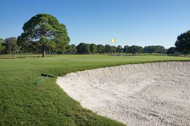The Eagles Golf Club - Forest - photo 2