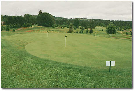 Diamond Woods - photo 2