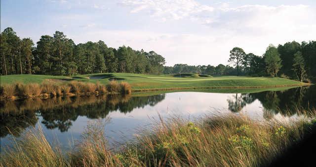 Sandestin - Raven Golf Club - photo 2