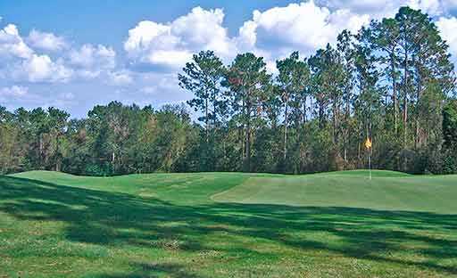 The Robert Trent Jones Golf Trail at Magnolia Grove - Crossings Course - photo 5