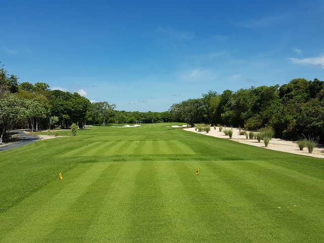 Gran Coyote Golf - photo 6