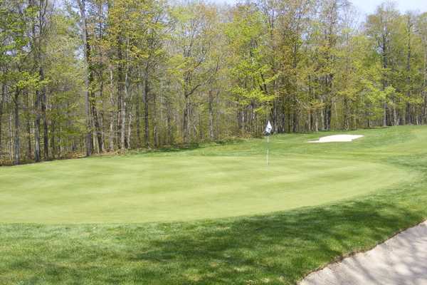Roscoe Mountain Club - photo 7