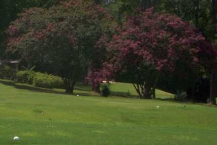 Coosa Pines Golf Course - photo 2