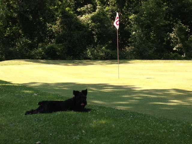 Middle Channel Golf & Country Club - photo 2