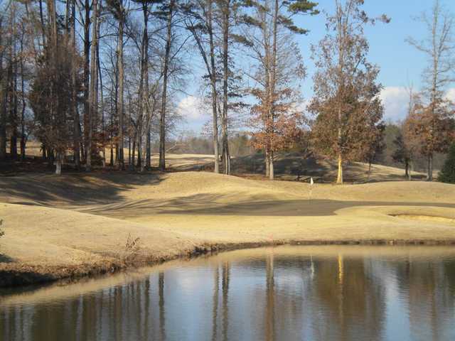 The Revival Golf Club at The Crescent - photo 6
