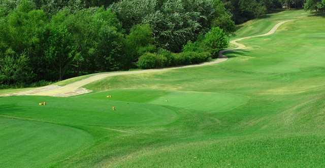 Forest Hills Country Club - photo 2
