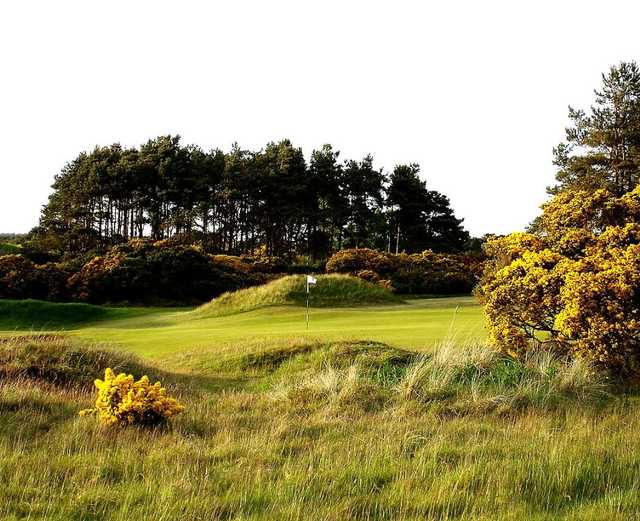 Panmure Golf Club - photo 5