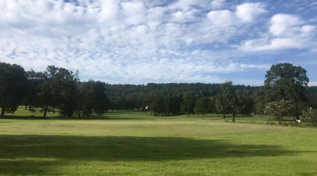 Lions Den Golf Club - photo 3
