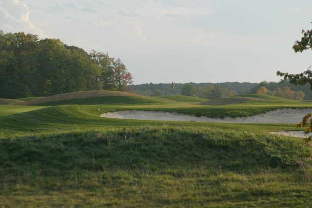 Ivy Ridge