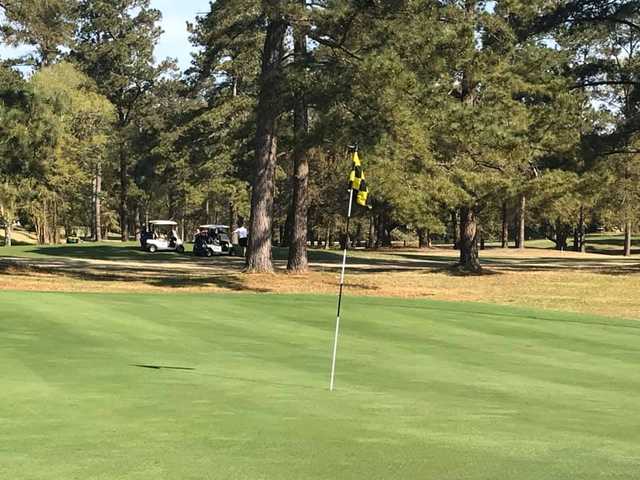 Lake Marion Golf Club - photo 3