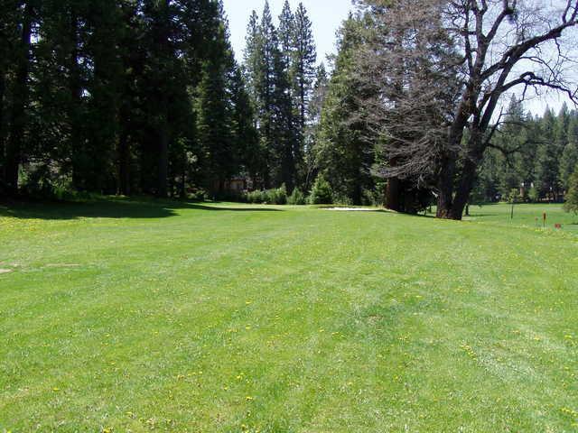 Meadowmont Golf Course - photo 2