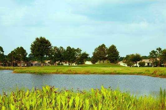 Plantation Palms Golf Club - photo 5