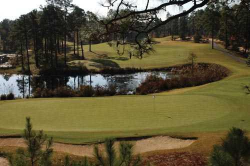 Forest Creek Golf Club - photo 3