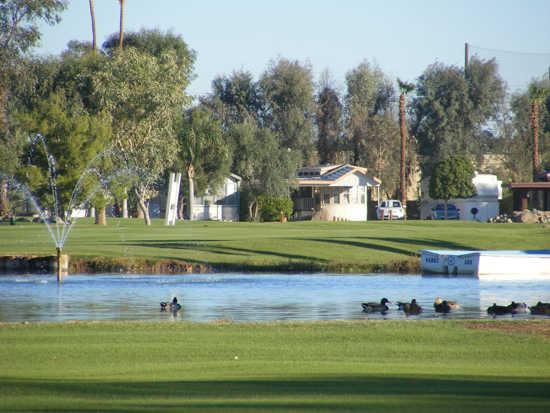 Desert Trails Golf Course and Resort - photo 2