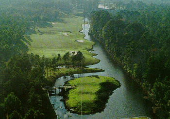 Sea Trail Golf Resort - The Dan Maples Golf Course - photo 4