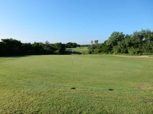 Tony Butler Municipal Golf Course - photo 3