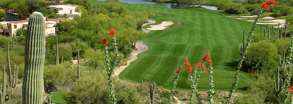 Ventana Canyon Golf Club - photo 5