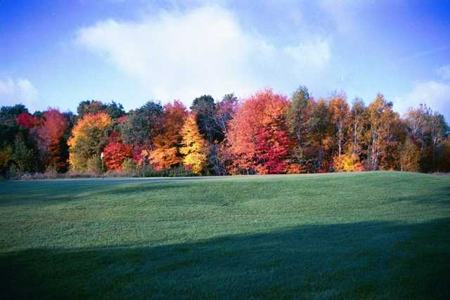 Viking Meadows Golf Course - photo 5