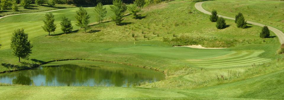 Stonewolf Golf Club - photo 7