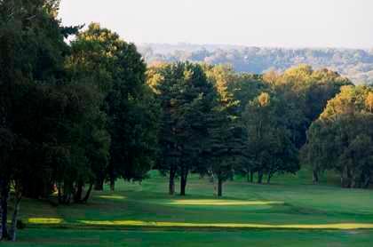 Royal Ashdown Forest Golf Club - West Course - photo 3