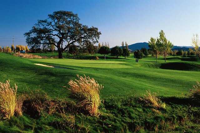 Rooster Run Golf Club - photo 6