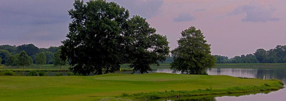 Orgill Golf Course - photo 6