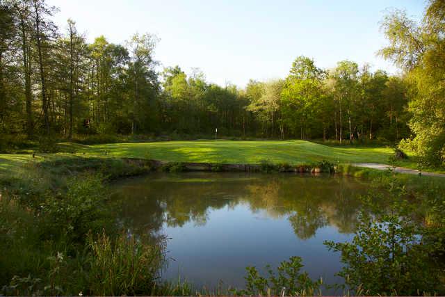 Lingfield Park Golf Club - photo 2