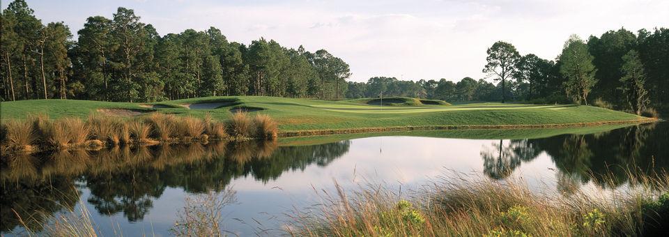 Sandestin - Raven Golf Club - photo 6