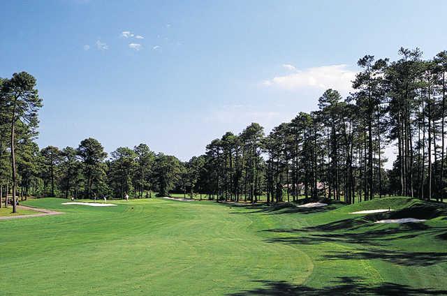 Possum Trot Golf Course - photo 4