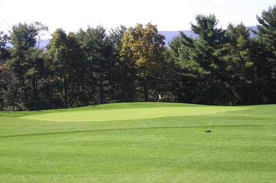 Olde Homestead Golf Club - photo 4