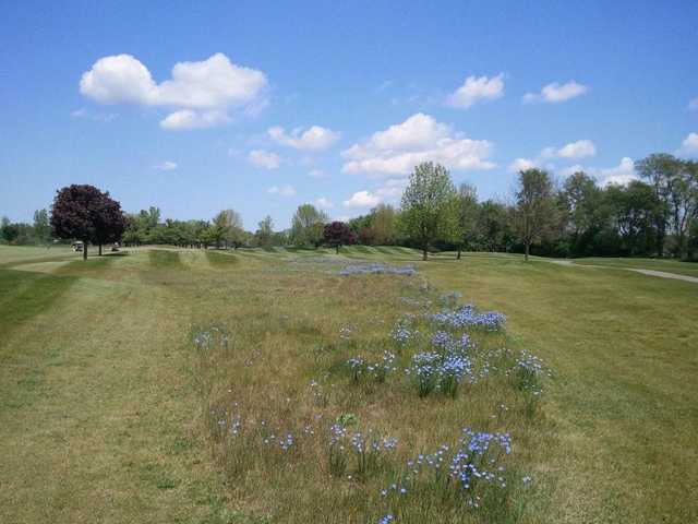 Juday Creek Golf Course - photo 2