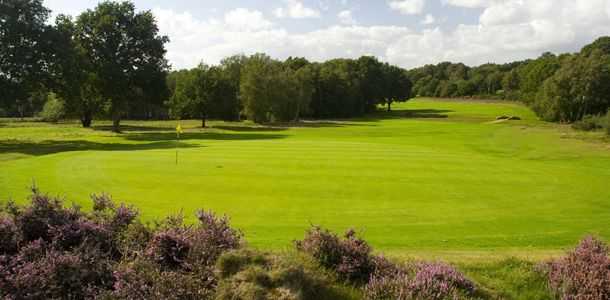 Piltdown Golf Club - photo 3