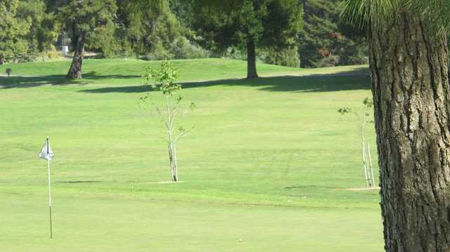 Blacklake Golf Resort - photo 3