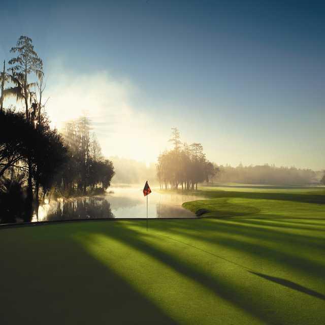 Innisbrook Resort & Golf Club - Island Course - photo 2
