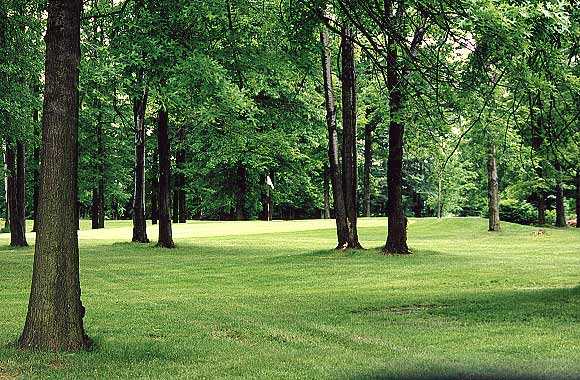 Emerald Woods Golf Course