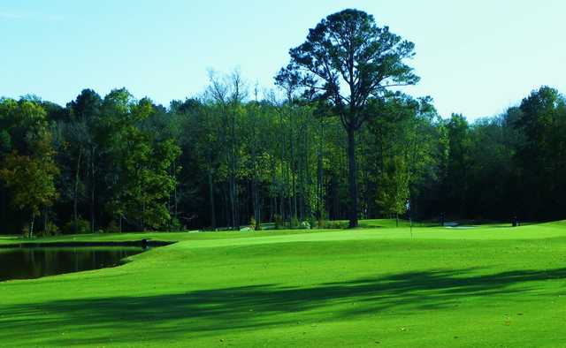 The Pines Golf Course - photo 1