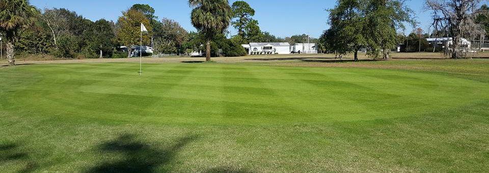 The Oaks Golf Club - photo 3