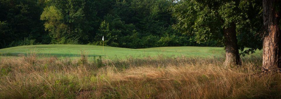 Knoxville Municipal Golf Course - photo 3