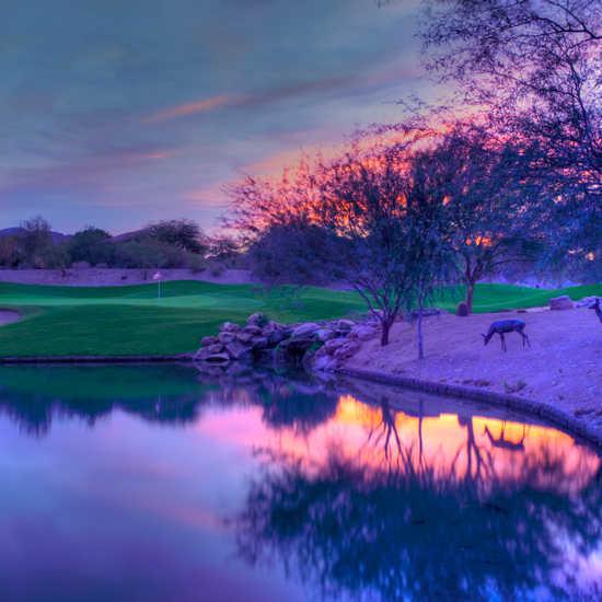 McDowell Mountain Golf Club - photo 4