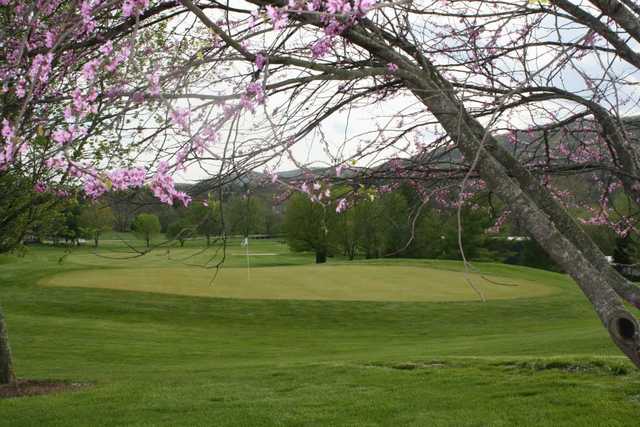 Blacksburg Country Club - photo 3