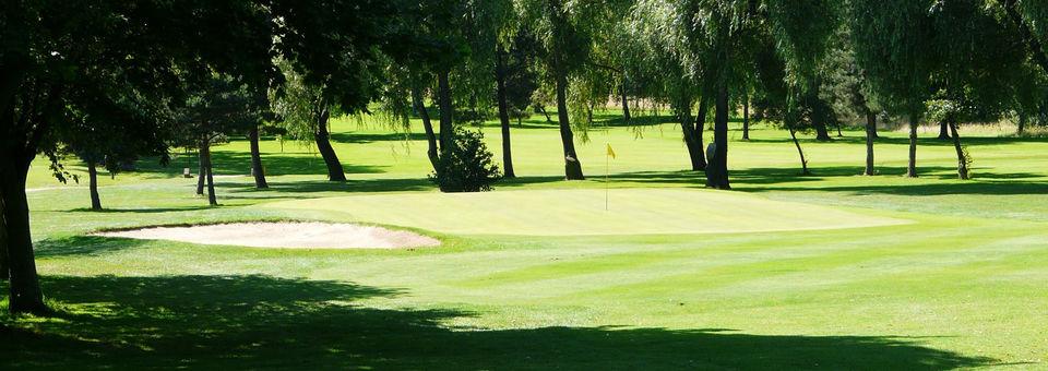 Phoenix Golf Club - photo 8