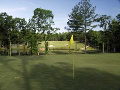 Arrowhead Pointe Golf Course At Richard B. Russell - photo 7