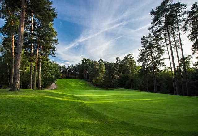 Pine Ridge Golf Club