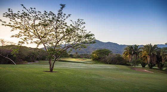 Vista Vallarta Golf Club - Nicklaus Course - photo 5