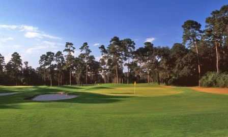 The Woodlands Resort Conference Center & Country Club - Oaks Course - photo 3