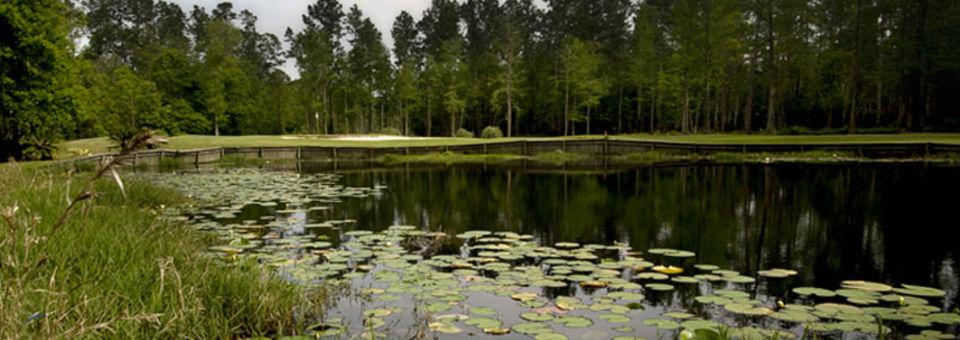 Windance Country Club - photo 6