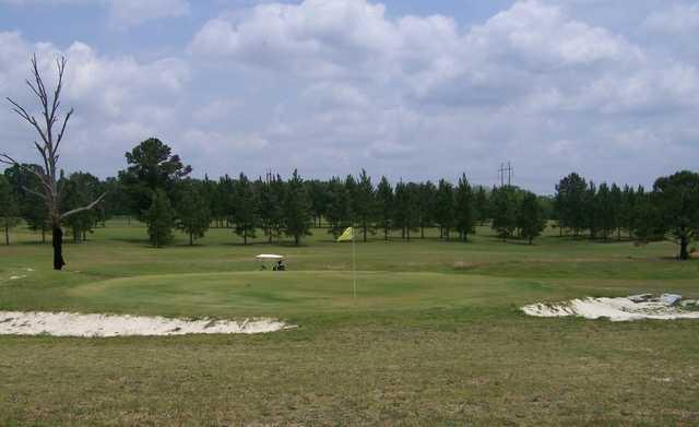 Old Pine Golf Course - photo 2