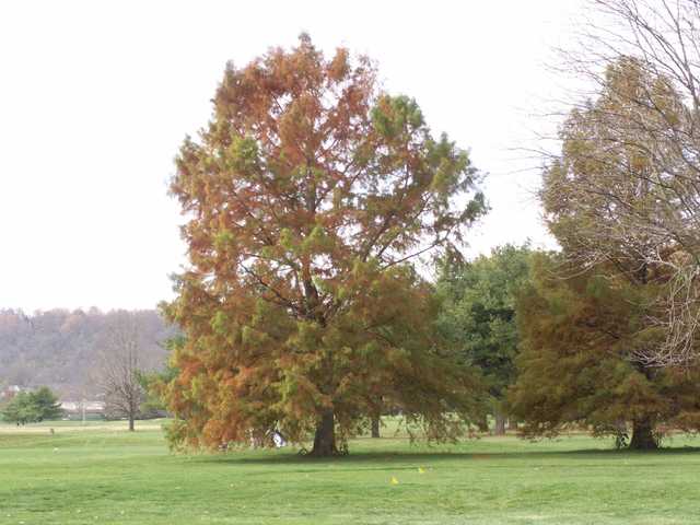 Reeves County Golf Course - photo 2