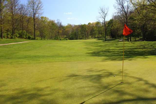 Hickory Woods Golf Course - photo 2